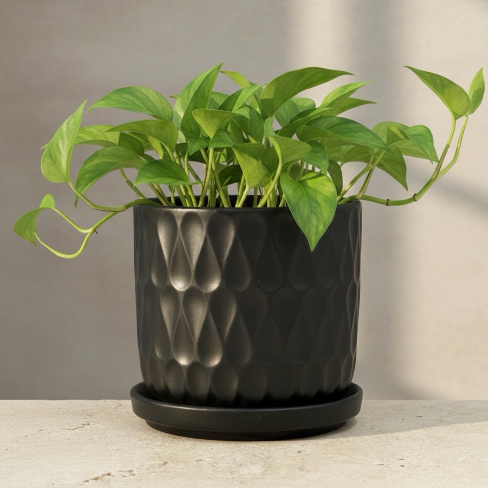 Matte Black Ceramic Barrel Planter with Attached Saucer & Drainage – 5.5 Inch